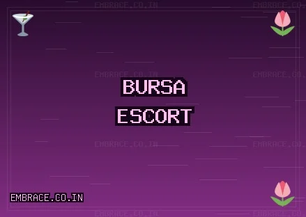 Bursa Escort: Osmangazi Escort, Gemlik Escort, Yıldırım Escort